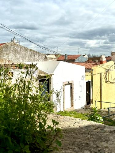 Casa Pátio Boa Vista 4