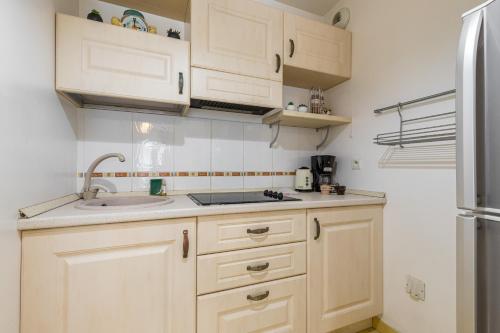 ニースにあるNice 1 Bedroom downtown Carré d'Or with garageの白いキャビネット、シンク、冷蔵庫付きのキッチンが備わります。