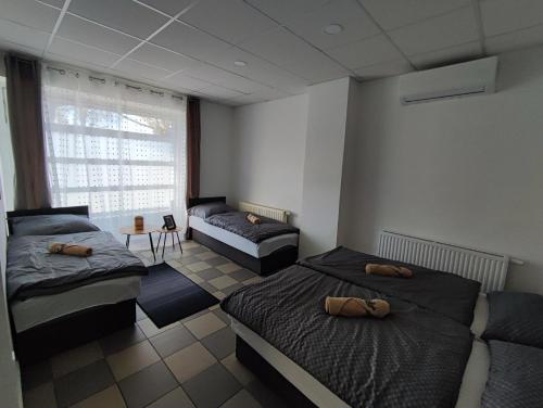 a bedroom with two beds and a window at Bástya Apartman in Tata