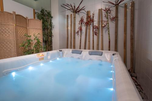 a bath tub in a room with potted plants at Hotel Santa Margarida in Oleiros