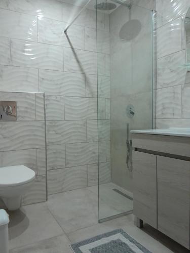 uma casa de banho com um chuveiro, um WC e um lavatório. em STO LOFO Apartments Kalyvia-Limenaria Thassos em Limenaria