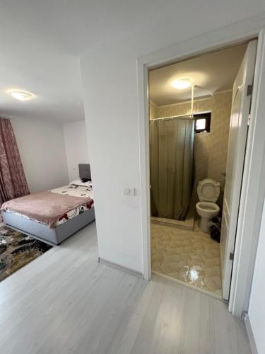 a bathroom with a bed and a toilet in a room at Pensiunea Amira in Năvodari