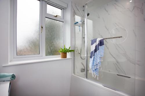 a bathroom with a shower and a window at Toller House in Exmouth