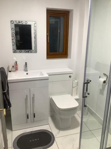 a bathroom with a toilet and a sink and a mirror at Country cottage in Lower Bentham