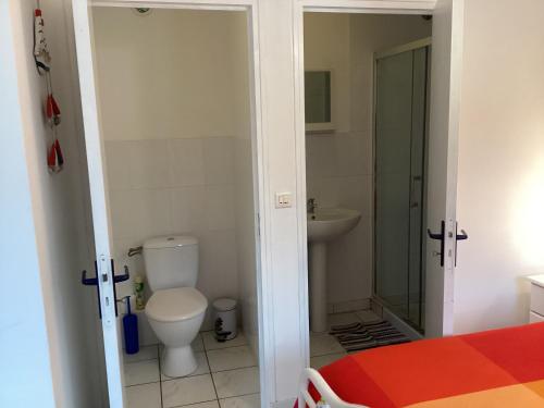 une salle de bains avec toilettes et lavabo dans l'établissement Riverside Gîte Pinel Hauterive, à Pinel-Hauterive