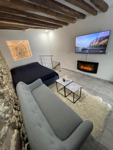 a living room with a couch and a fireplace at L’Eden Centre ville in Melun