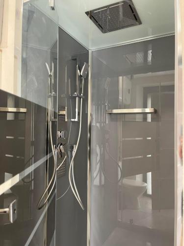 une porte de douche en verre dans une salle de bain avec toilettes dans l'établissement L’Eden Centre ville, à Melun