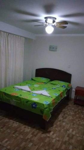 1 dormitorio con 1 cama verde y ventilador de techo en Hospedaje Mi Bello Horizonte Jaén Perú, en Jaén