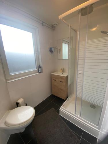 a bathroom with a shower and a toilet and a sink at Cosy tiny house in the centre city of Volendam in Volendam