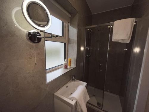 a bathroom with a shower and a sink and a mirror at New Atherny Home overlooking The fields of Athenry in Galway