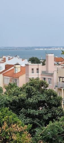Coliving in Lisbon Center long-term stays