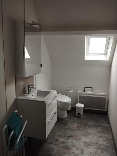 une salle de bain avec un lavabo et des toilettes et une fenêtre dans l'établissement Manoir de La Converserie, à Saint-Étienne-au-Mont