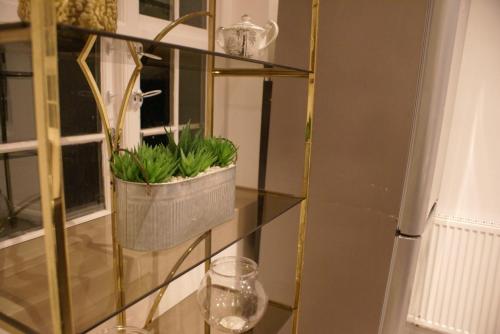 a glass shelf with a potted plant on it at Luxury and serviced 3 bed house - Hampstead Garden in London