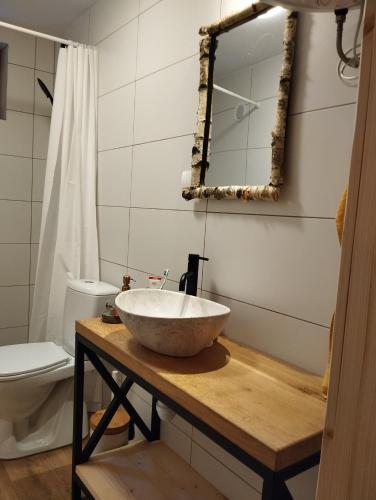 a bathroom with a bowl sink and a toilet at Ajurweda na Jurze Agroturystyka in Choroń