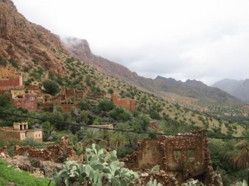 a view of a mountain with houses and cactus at auberge djebel rose in Tafraout