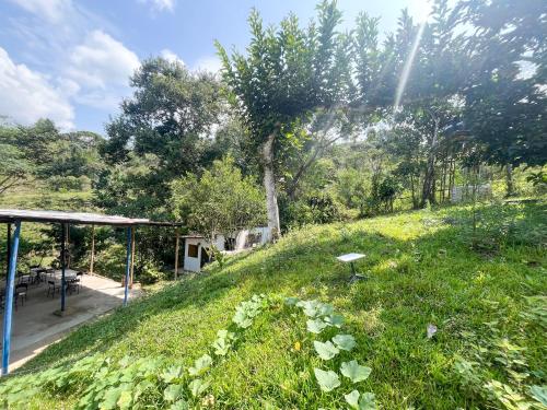 a grassy hill with a shelter and a garden at Casa Clandestina Campestre in San Rafael