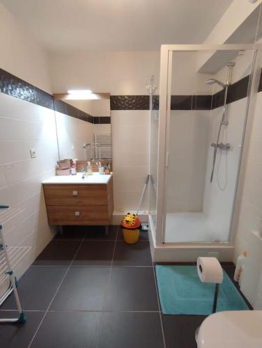 une salle de bain avec douche et lavabo dans l'établissement Charming and Secure Fully-Equipped Apartment Close to Paris, à Saint-Cloud