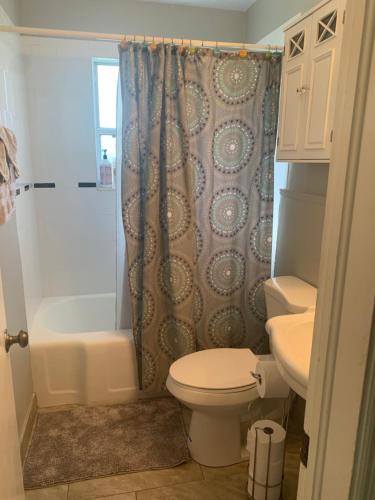 a bathroom with a shower and a toilet and a sink at Cozy Cottage near Beaches and Downtown Sarasota in Sarasota