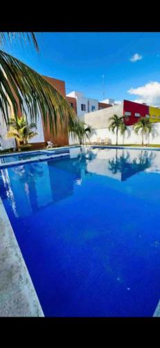 a large blue swimming pool with a palm tree at Depa con alberca en privada in Cancún