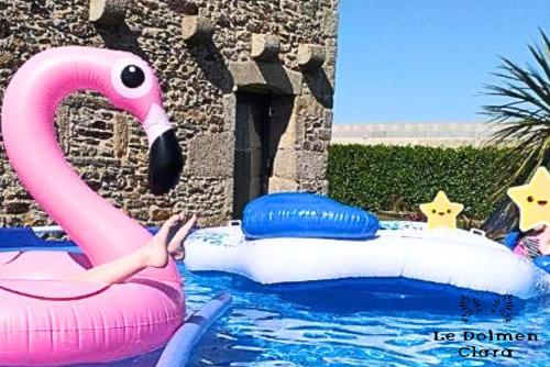 un flotador de flamenco rosa en una piscina en La Casa du Dolmen Clara, balnéo privée, entre terre et mer, en Plounévez-Lochrist