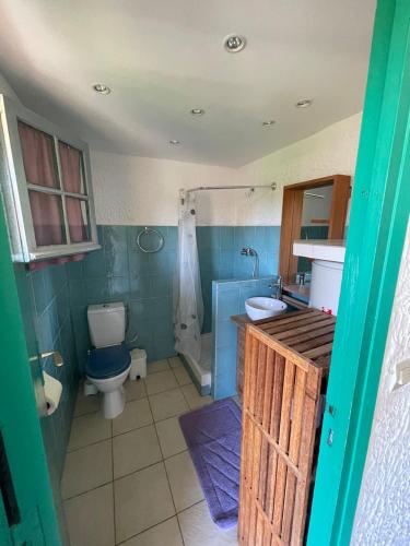 une salle de bain avec toilettes, lavabo et douche dans l'établissement RESIDENCE LA PLAGE Pieds dans l'eau Belle Vue mer, à Linguizzetta