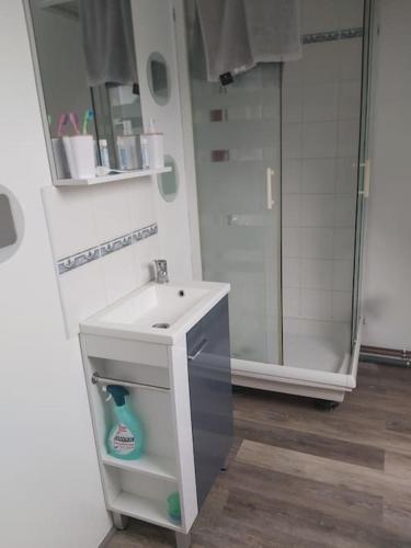 une salle de bain avec un lavabo et une douche dans l'établissement Grande maison jusqu'à 9 pers, à Ézy-sur-Eure