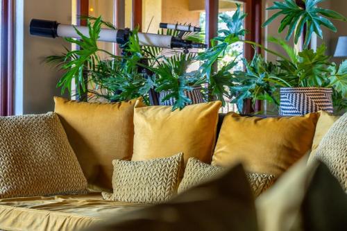 a couch with pillows and plants in a room at Parsons House in Hoedspruit