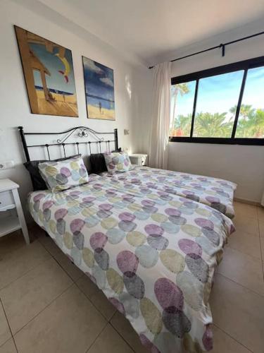 Oasis royal Corralejo