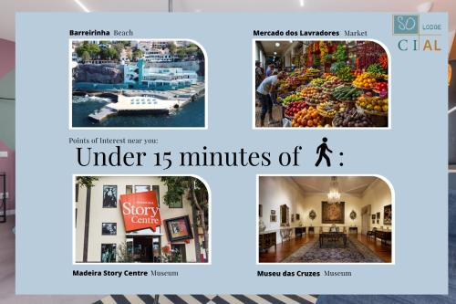 Gambar di galeri bagi Social Lodge - Happiness di Funchal