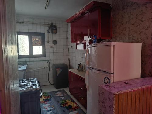 a kitchen with a pink refrigerator and a stove at شقه للايجار مكرم عبيد 1 in Cairo