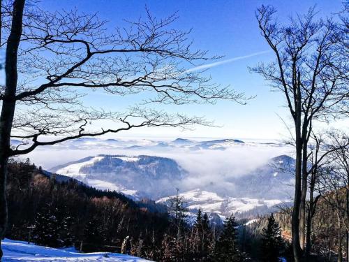 - une vue depuis le sommet d'une montagne dans la neige dans l'établissement Almhütte in Alleinlage, à Puchenstuben