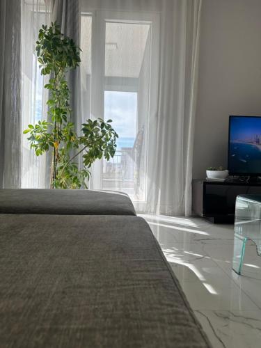 Tirana apartment