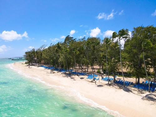 a beach with chairs and palm trees and the ocean at Vista Sol Punta Cana Beach Resort & Spa - All Inclusive in Punta Cana