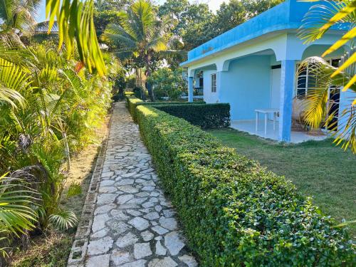 a walkway next to a house with a hedge at Sergio Romano in Boca Chica