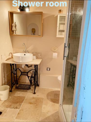 La salle de bains est pourvue d'un lavabo et d'une salle d'eau. dans l'établissement L’écrin de Cléama, à Figanières