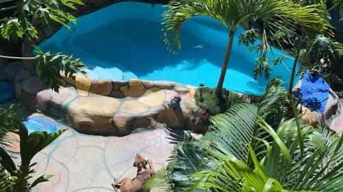 una piscina en un jardín con un parque acuático en Cahuita Vibe en Cahuita