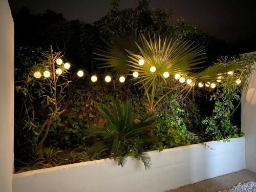 une série de lumières sur une clôture avec des plantes dans l'établissement Apartamento 315 Castell Sol CB, à Arenal d'en Castell