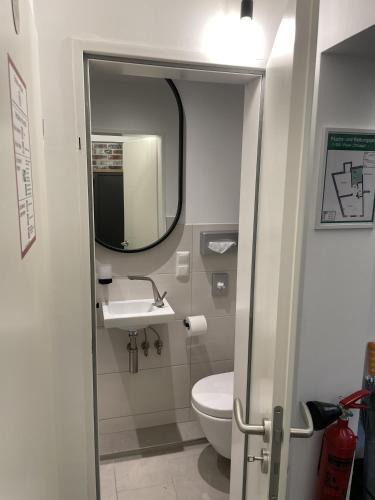 a bathroom with a toilet and a sink and a mirror at Burghaus-Cochem in Cochem