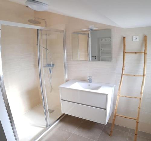 une salle de bain avec un lavabo blanc et une douche dans l'établissement Maison avec terrasse Classée 3*, à La Brée-les-Bains