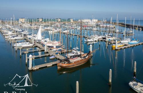 a group of boats docked at a marina at DD 58 - Camping de Duindoorn - AIRCO in IJmuiden