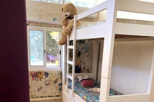 einem Teddybär auf einem Etagenbett in der Unterkunft Hermosa, arbolada y amplia in La Floresta
