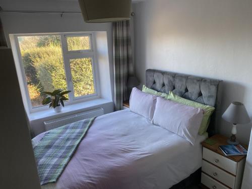 a bedroom with a white bed with a window at The Cottage @ Burkedale House in Corrofin