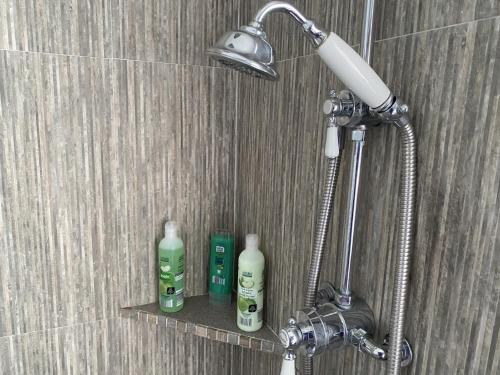 a shower with two bottles of soap and a light at The Cottage @ Burkedale House in Corrofin