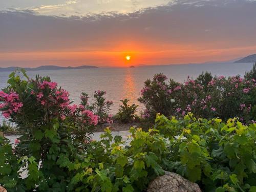 a sunset over the water with flowers and the ocean at Patmos Garden Sea in Grikos