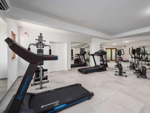 una palestra con diversi tapis roulant e macchine ellittiche di Villa San Lorenzo by Interhome a Brtonigla (Verteneglio)