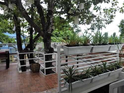 a white fence with a tree in the background at Orange Mangrove Pension House by SMS Hospitality in Puerto Princesa City