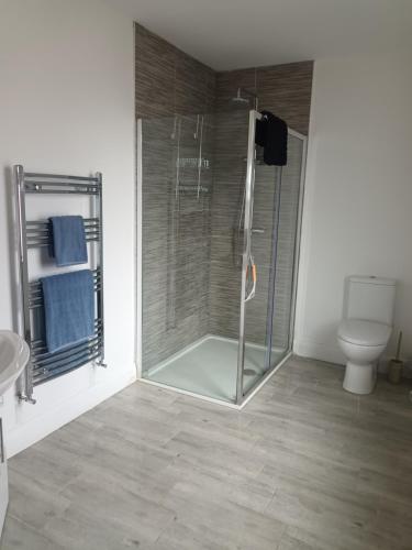 a bathroom with a shower and a toilet at Birdhill Farmhouse in Tipperary