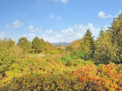 a forest filled with lots of trees and bushes at Holiday Home Analia - 300m to the inlet by Interhome in Fur