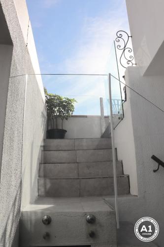 a set of stairs with a potted tree on it at Oporto House Garden in Porto