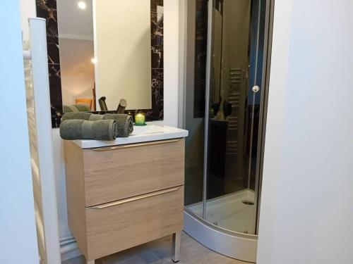 une salle de bain avec un lavabo et une douche dans l'établissement D'am Chic Nomade appartement Vert, à Périgueux